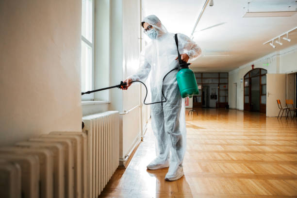 Reliable Gridley, IL Pest Control Solutions